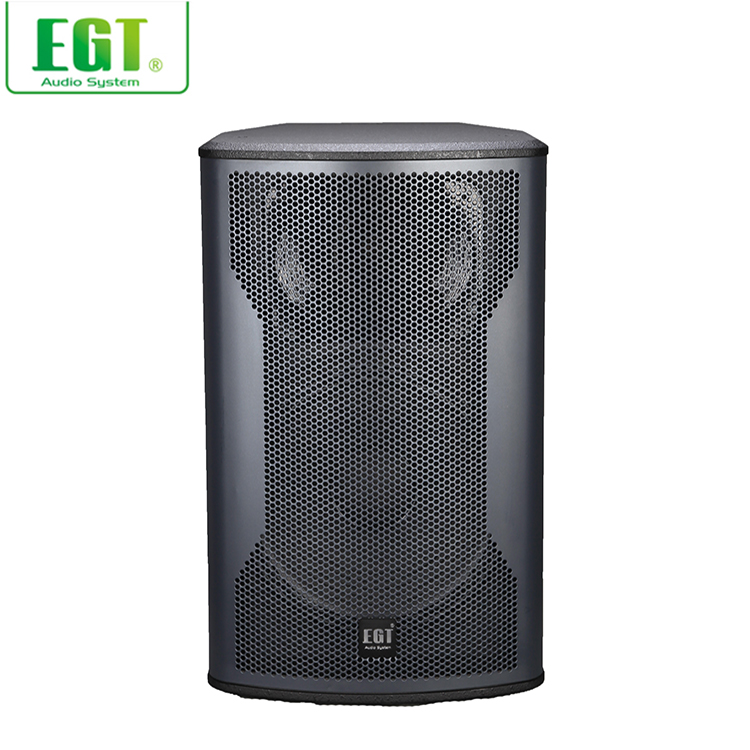 10-calowy 2-drożny pasywny gło – Speaker Crossover recenzja i cena