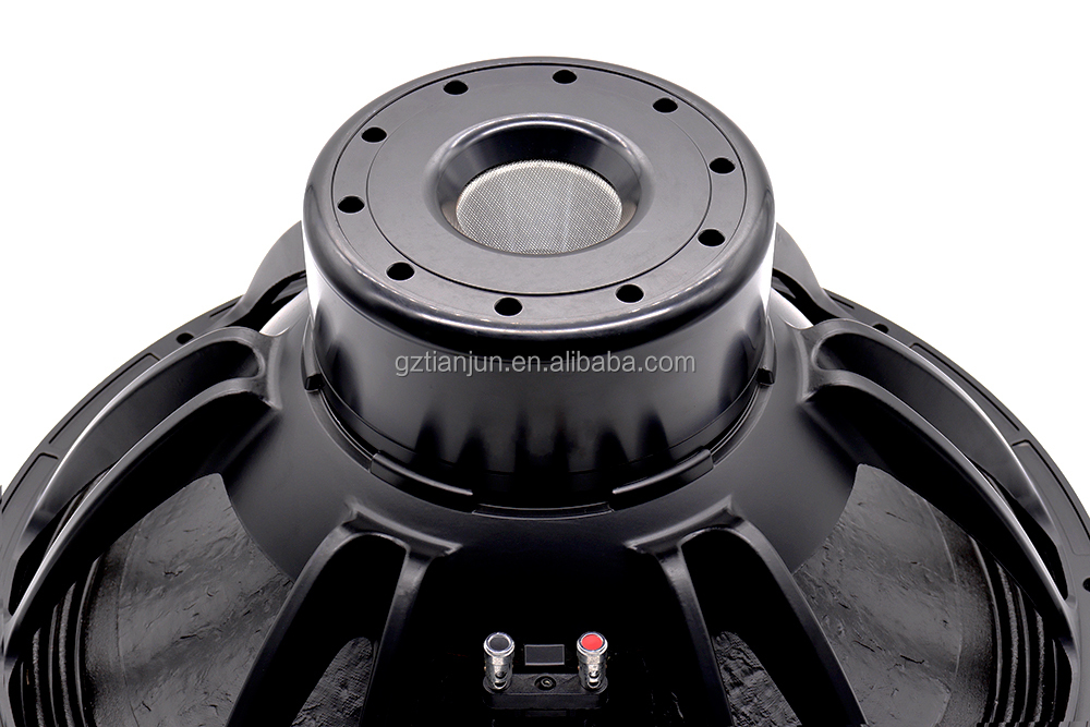 Profesjonalny system audio 21' – Subwoofer recenzja i cena