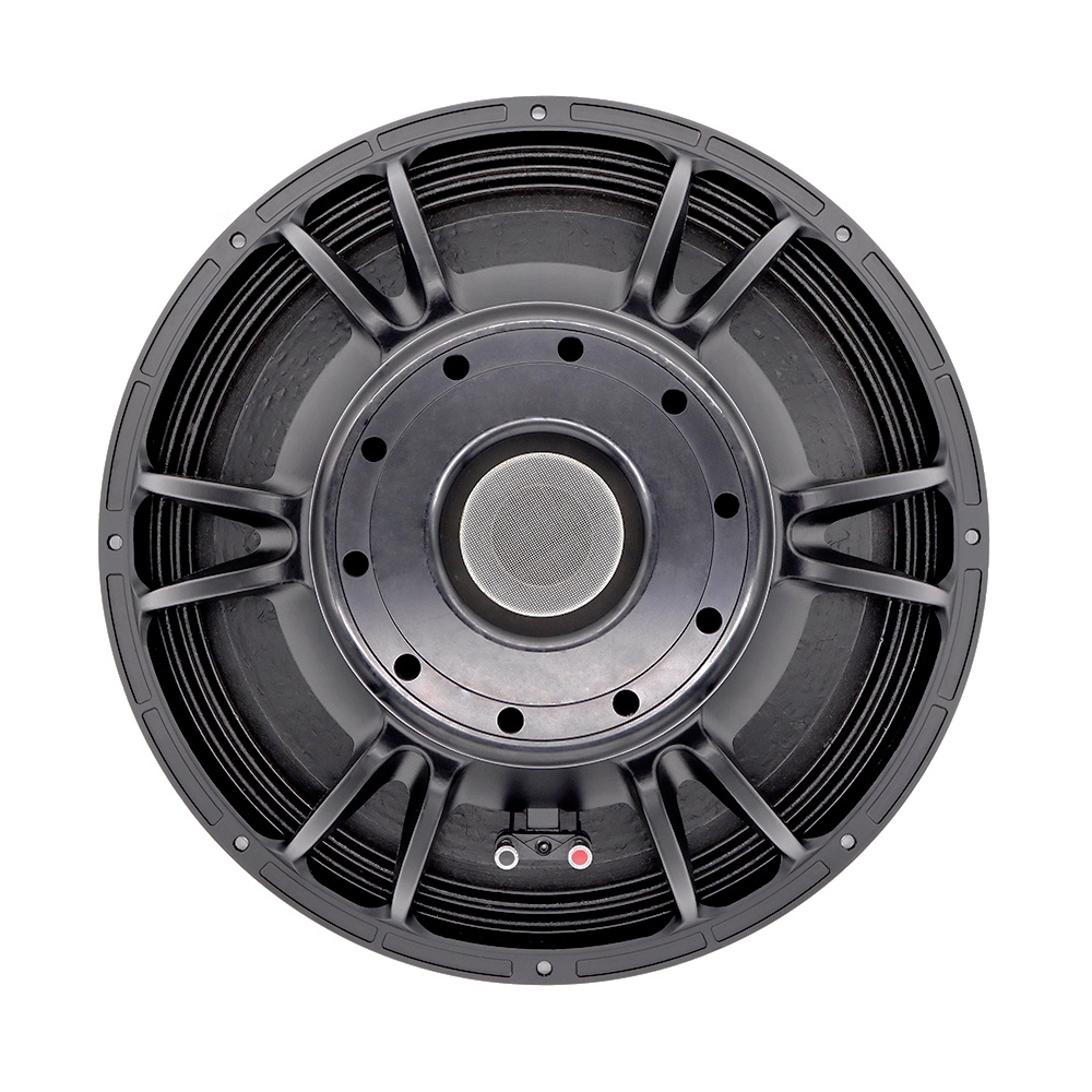 Profesjonalny system audio 21' – Subwoofer recenzja i cena